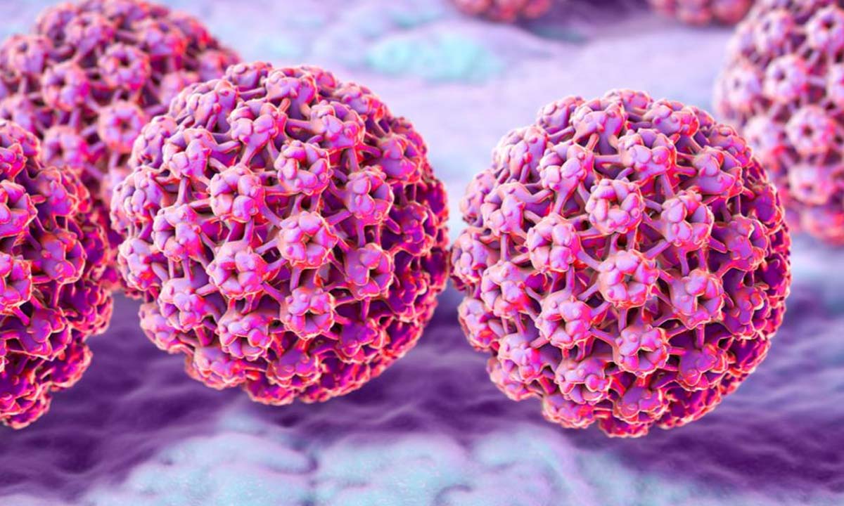 Can HPV Come Back After Clearance? What Science Really Says