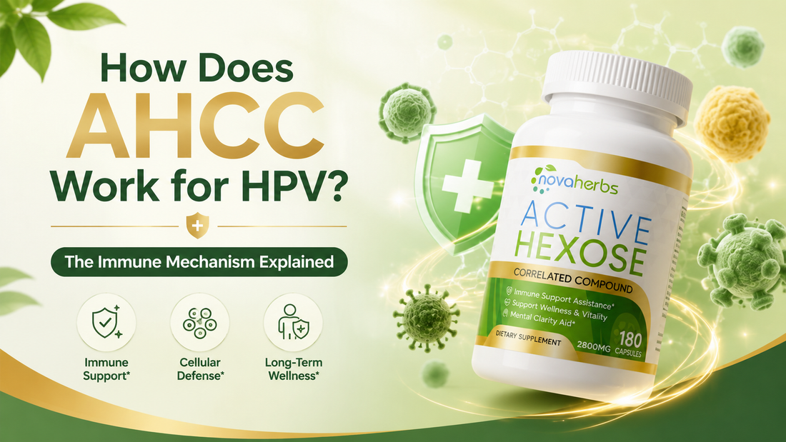 How AHCC Helps Your Immune System Clear HPV