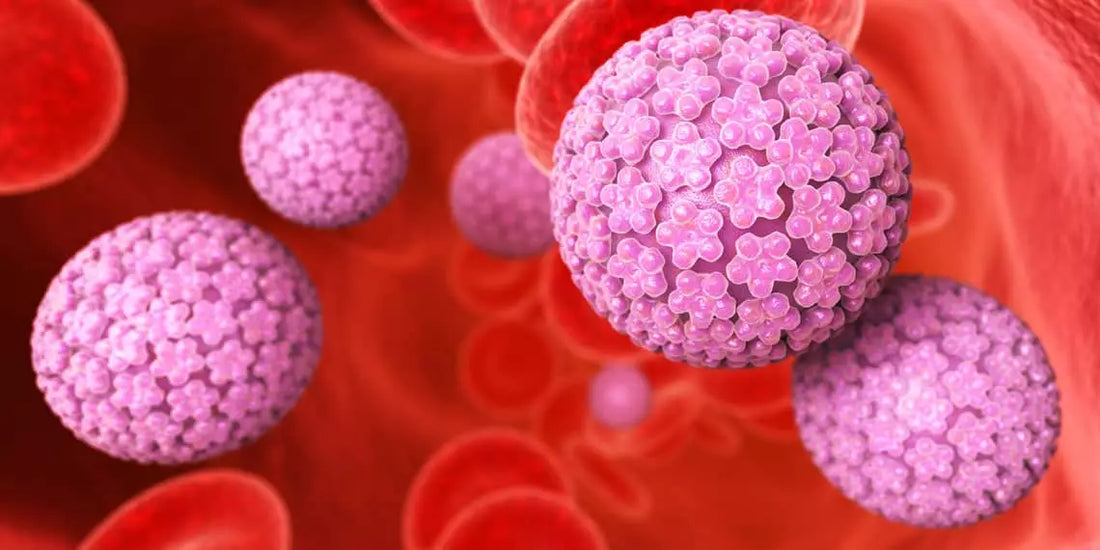 HPV and Cancer: Unraveling the Mystery and the Role of AHCC in Prevention