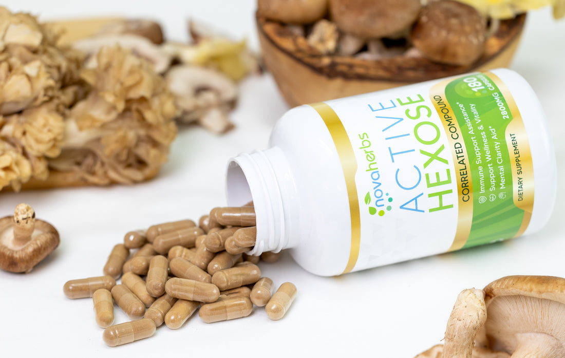 best ahcc supplement