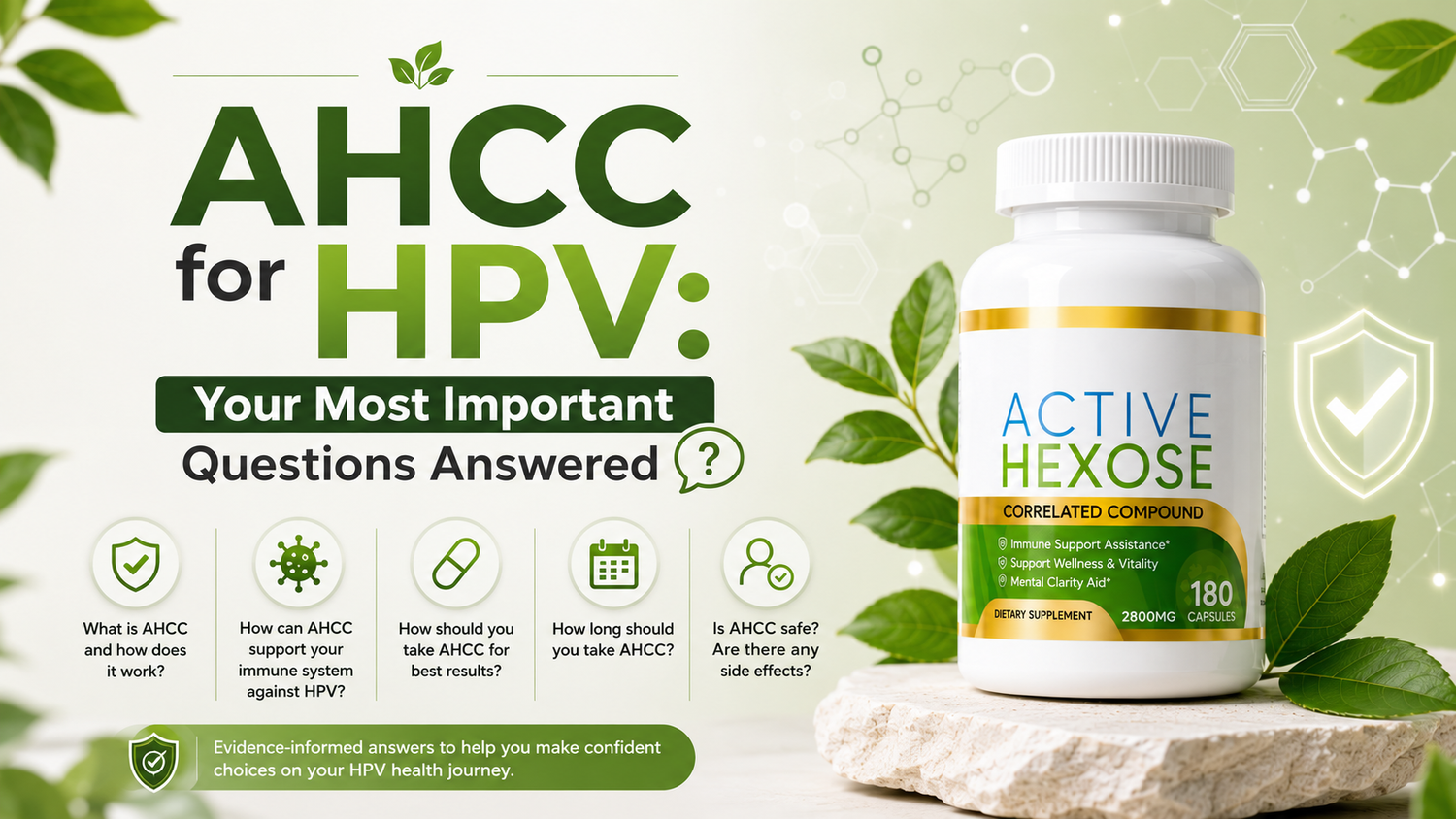 AHCC for HPV: Your Most Important Questions Answered