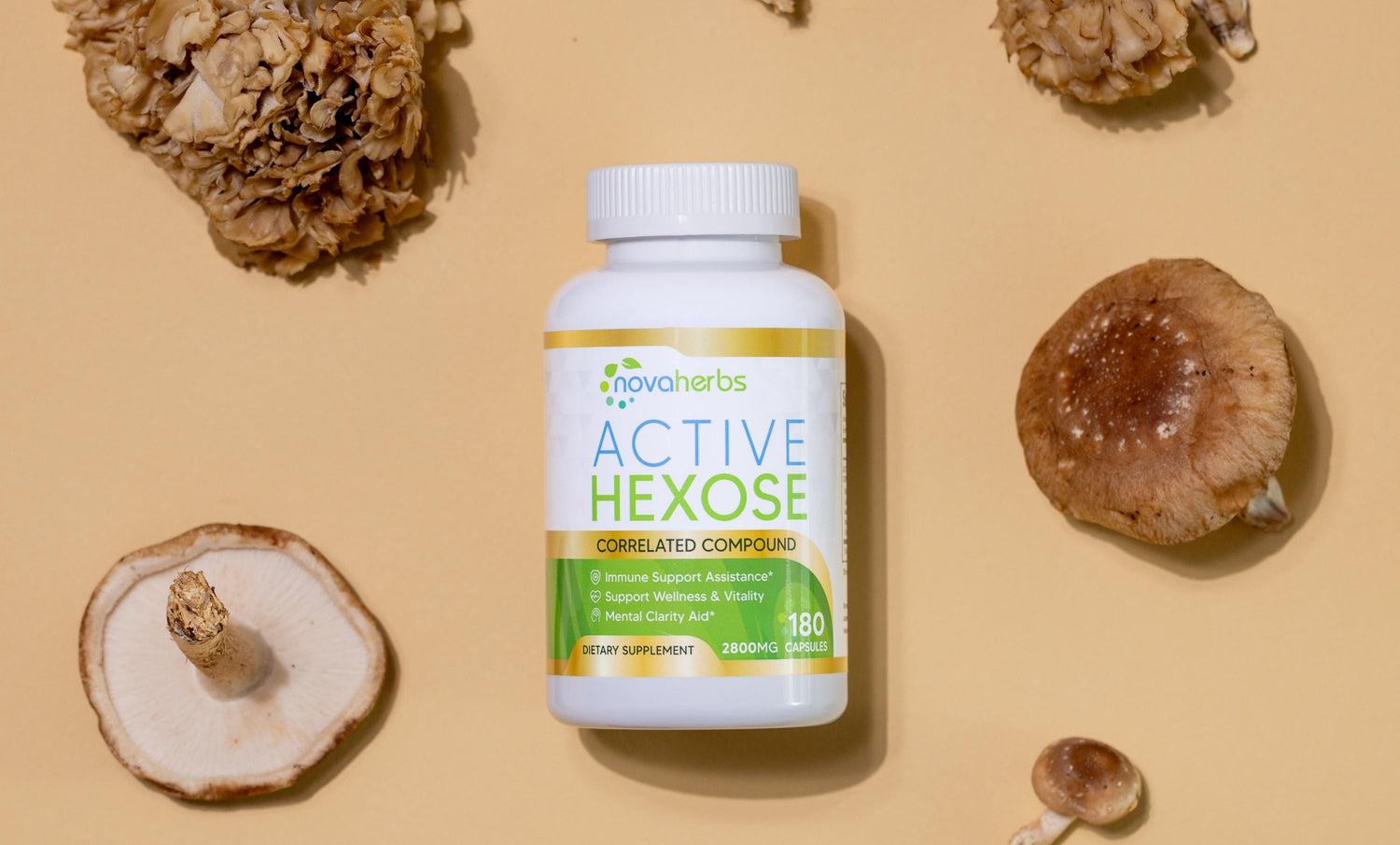 10 Powerful Health Benefits of AHCC Supplements
