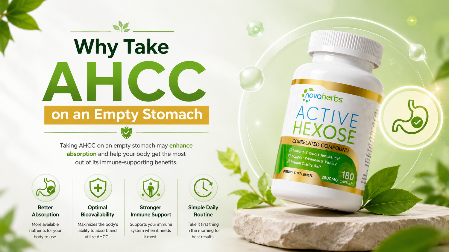 Why Take AHCC on an Empty Stomach? The Science Behind Supplement Timing